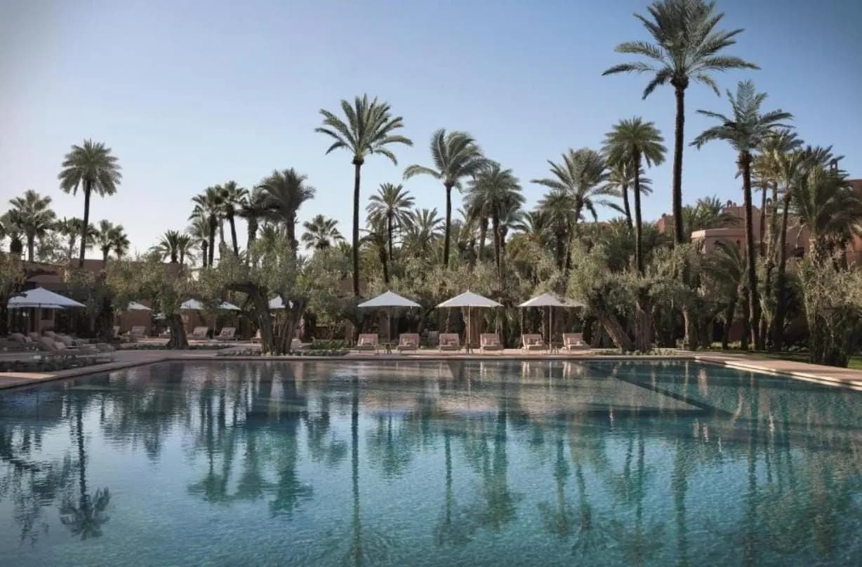 Palm Garden Pool