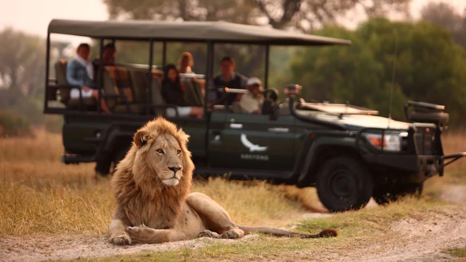 Private Safari Drives